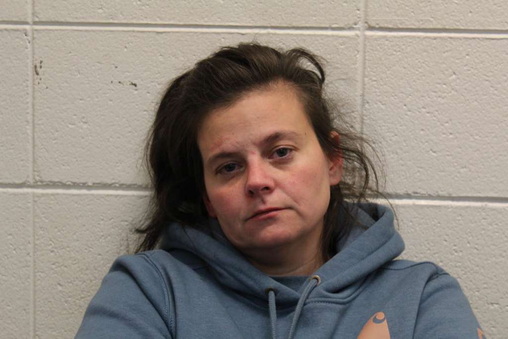 York woman sentenced to probation in what started as felony child abuse ...